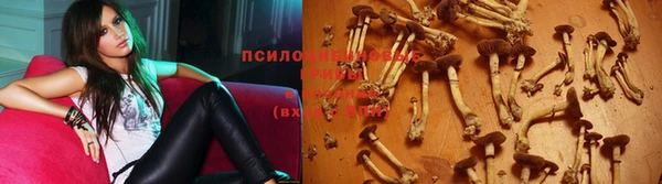кокс Кукмор