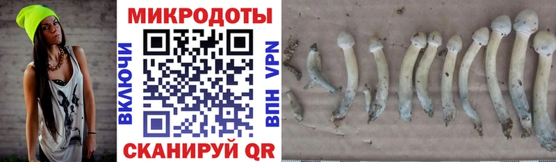 Галлюциногенные грибы MAGIC MUSHROOMS Геленджик