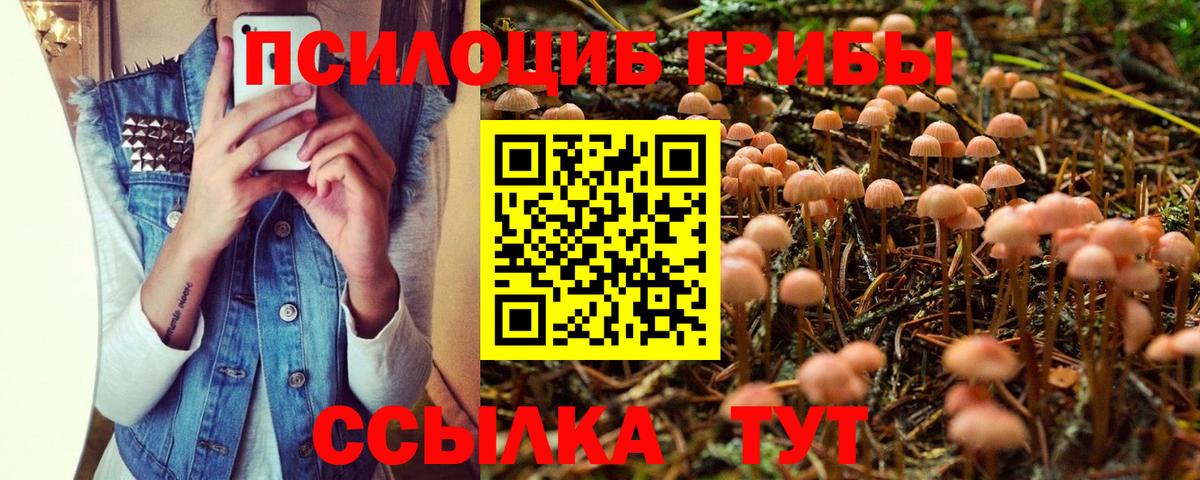 Псилоцибиновые грибы Magic Shrooms Геленджик