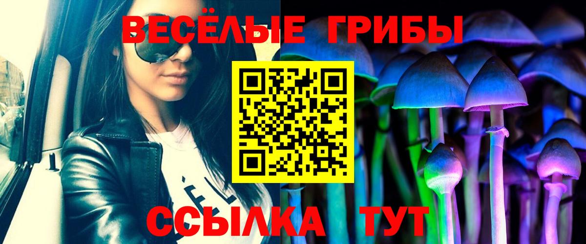 Геленджик  Псилоцибиновые грибы Psilocybe  Вход с VPN 